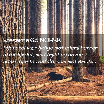 Picture 02 - Efeserne 6:5 NORSK - I tjenere! vær lydige mot eders herrer efter - Bible Verse Picture