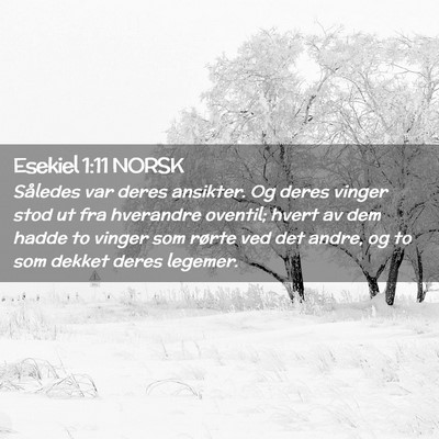 Picture 02 - Esekiel 1:11 NORSK - Således var deres ansikter. Og deres vinger stod - Bible Verse Picture