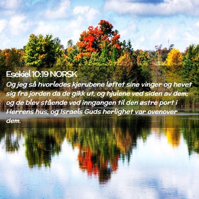 Picture 02 - Esekiel 10:19 NORSK - Og jeg så hvorledes kjerubene løftet sine - Bible Verse Picture