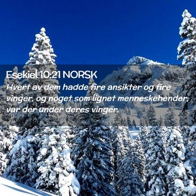 Picture 02 - Esekiel 10:21 NORSK - Hvert av dem hadde fire ansikter og fire vinger, - Bible Verse Picture