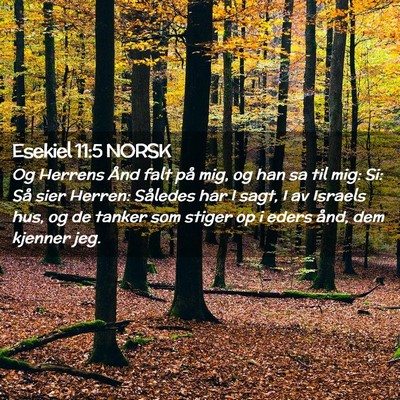 Picture 02 - Esekiel 11:5 NORSK - Og Herrens Ånd falt på mig, og han sa til mig: - Bible Verse Picture