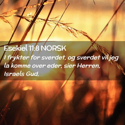 Picture 02 - Esekiel 11:8 NORSK - I frykter for sverdet, og sverdet vil jeg la - Bible Verse Picture