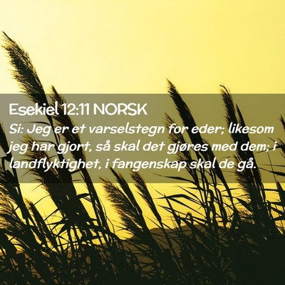 Picture 02 - Esekiel 12:11 NORSK - Si: Jeg er et varselstegn for eder; likesom jeg - Bible Verse Picture