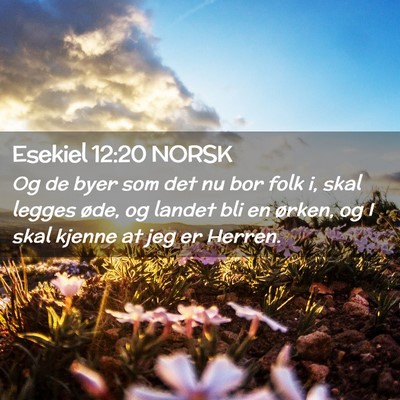 Picture 02 - Esekiel 12:20 NORSK - Og de byer som det nu bor folk i, skal legges - Bible Verse Picture
