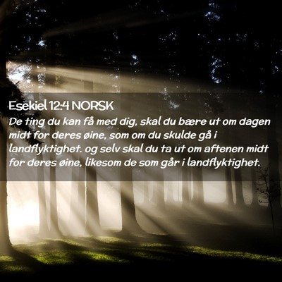 Picture 02 - Esekiel 12:4 NORSK - De ting du kan få med dig, skal du bære ut om - Bible Verse Picture
