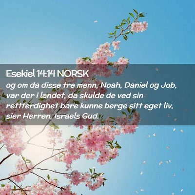 Picture 02 - Esekiel 14:14 NORSK - og om da disse tre menn, Noah, Daniel og Job, var - Bible Verse Picture