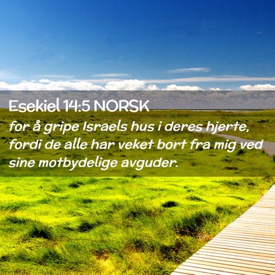 Picture 02 - Esekiel 14:5 NORSK - for å gripe Israels hus i deres hjerte, fordi de - Bible Verse Picture