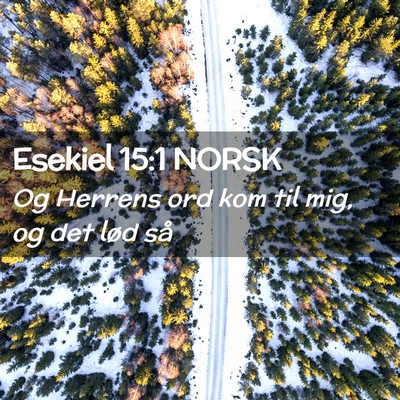 Picture 02 - Esekiel 15:1 NORSK - Og Herrens ord kom til mig, og det lød - Bible Verse Picture