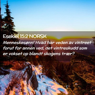 Picture 02 - Esekiel 15:2 NORSK - Menneskesønn! Hvad har veden av vintreet forut - Bible Verse Picture
