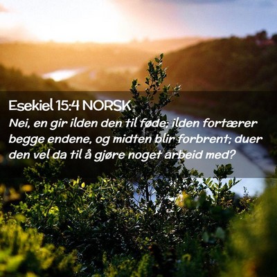 Picture 02 - Esekiel 15:4 NORSK - Nei, en gir ilden den til føde; ilden fortærer - Bible Verse Picture