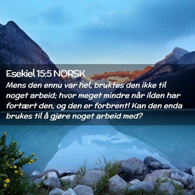 Picture 02 - Esekiel 15:5 NORSK - Mens den ennu var hel, bruktes den ikke til noget - Bible Verse Picture