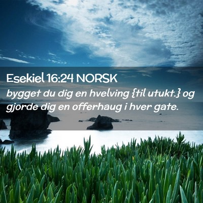 Picture 02 - Esekiel 16:24 NORSK - bygget du dig en hvelving {til utukt.} og gjorde - Bible Verse Picture