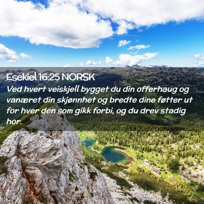 Picture 02 - Esekiel 16:25 NORSK - Ved hvert veiskjell bygget du din offerhaug og - Bible Verse Picture