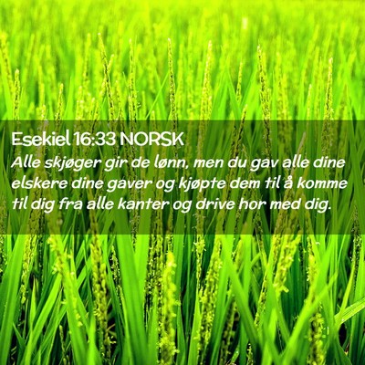 Picture 02 - Esekiel 16:33 NORSK - Alle skjøger gir de lønn, men du gav alle dine - Bible Verse Picture