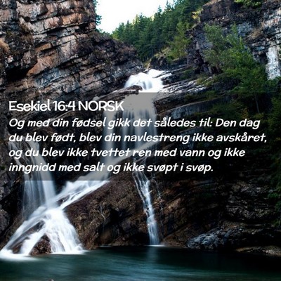 Picture 02 - Esekiel 16:4 NORSK - Og med din fødsel gikk det således til: Den dag - Bible Verse Picture