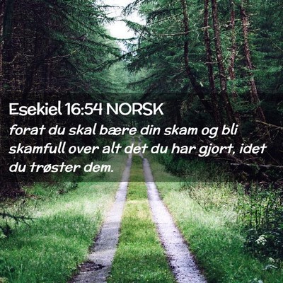 Picture 02 - Esekiel 16:54 NORSK - forat du skal bære din skam og bli skamfull over - Bible Verse Picture