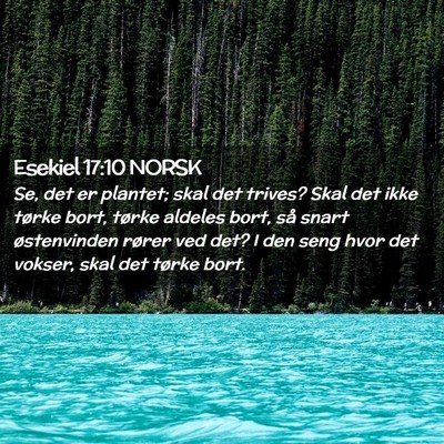 Picture 02 - Esekiel 17:10 NORSK - Se, det er plantet; skal det trives? Skal det - Bible Verse Picture