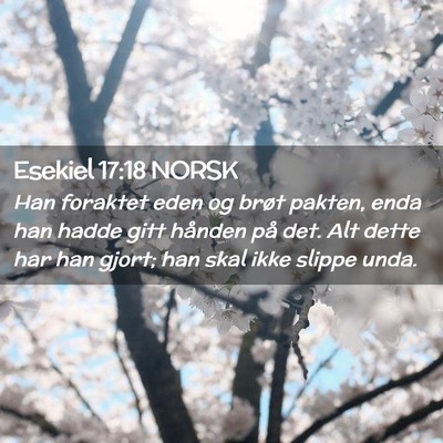 Picture 02 - Esekiel 17:18 NORSK - Han foraktet eden og brøt pakten, enda han hadde - Bible Verse Picture