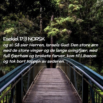 Picture 02 - Esekiel 17:3 NORSK - og si: Så sier Herren, Israels Gud: Den store - Bible Verse Picture
