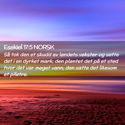 Picture 02 - Esekiel 17:5 NORSK - Så tok den et skudd av landets vekster og satte - Bible Verse Picture