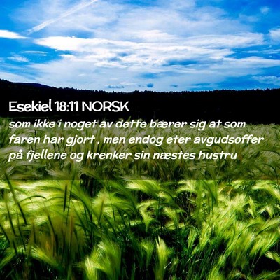 Picture 02 - Esekiel 18:11 NORSK - som ikke i noget av dette bærer sig at som faren - Bible Verse Picture