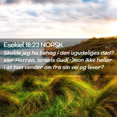 Picture 02 - Esekiel 18:23 NORSK - Skulde jeg ha behag i den ugudeliges død? sier - Bible Verse Picture
