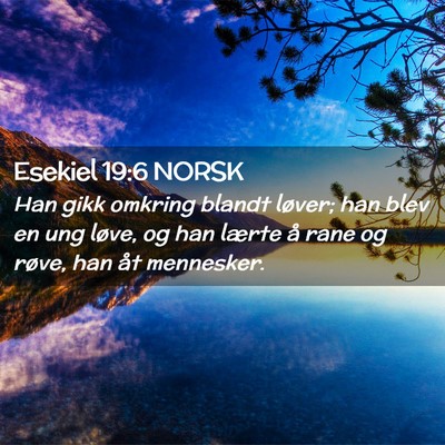 Picture 02 - Esekiel 19:6 NORSK - Han gikk omkring blandt løver; han blev en ung - Bible Verse Picture