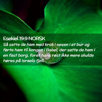 Picture 02 - Esekiel 19:9 NORSK - Så satte de ham med krok i nesen i et bur og - Bible Verse Picture
