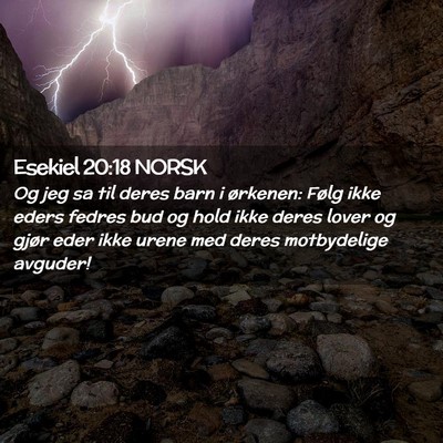 Picture 02 - Esekiel 20:18 NORSK - Og jeg sa til deres barn i ørkenen: Følg ikke - Bible Verse Picture
