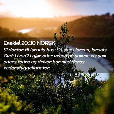 Picture 02 - Esekiel 20:30 NORSK - Si derfor til Israels hus: Så sier Herren, - Bible Verse Picture