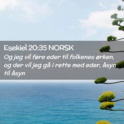 Picture 02 - Esekiel 20:35 NORSK - Og jeg vil føre eder til folkenes ørken, og der - Bible Verse Picture