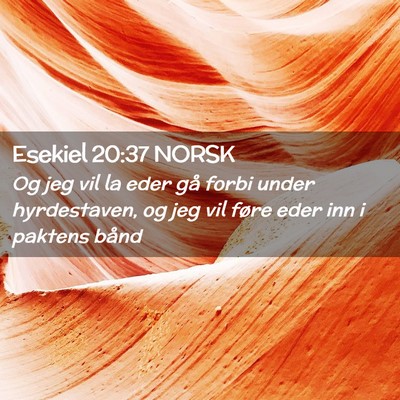 Picture 02 - Esekiel 20:37 NORSK - Og jeg vil la eder gå forbi under hyrdestaven, - Bible Verse Picture