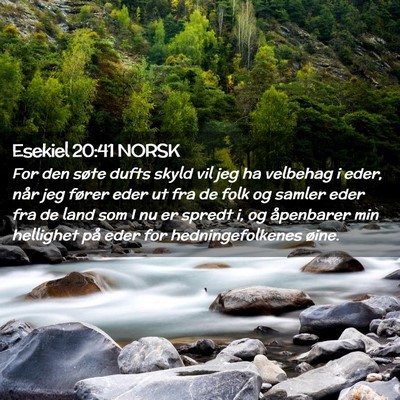 Picture 02 - Esekiel 20:41 NORSK - For den søte dufts skyld vil jeg ha velbehag i - Bible Verse Picture