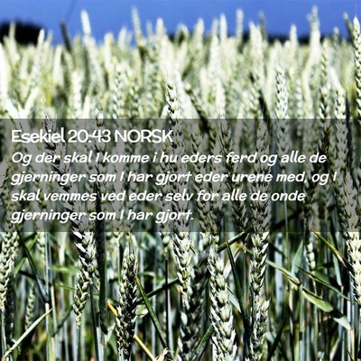 Picture 02 - Esekiel 20:43 NORSK - Og der skal I komme i hu eders ferd og alle de - Bible Verse Picture