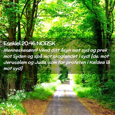 Picture 02 - Esekiel 20:46 NORSK - Menneskesønn! Vend ditt åsyn mot syd og prek - Bible Verse Picture