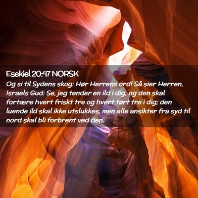 Picture 02 - Esekiel 20:47 NORSK - Og si til Sydens skog: Hør Herrens ord! Så sier - Bible Verse Picture