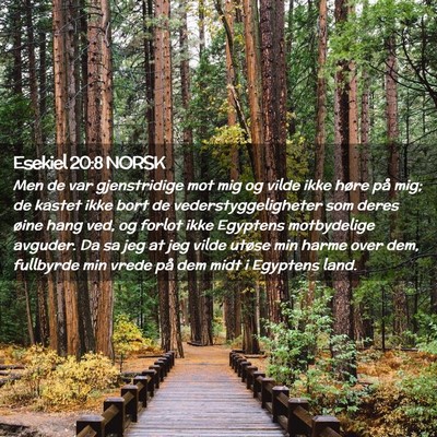 Picture 02 - Esekiel 20:8 NORSK - Men de var gjenstridige mot mig og vilde ikke - Bible Verse Picture