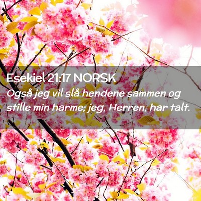 Picture 02 - Esekiel 21:17 NORSK - Også jeg vil slå hendene sammen og stille min - Bible Verse Picture