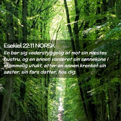 Picture 02 - Esekiel 22:11 NORSK - En bar sig vederstyggelig at mot sin næstes - Bible Verse Picture
