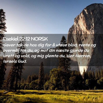 Picture 02 - Esekiel 22:12 NORSK - Gaver tok de hos dig for å utøse blod; rente og - Bible Verse Picture