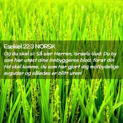 Picture 02 - Esekiel 22:3 NORSK - Og du skal si: Så sier Herren, Israels Gud: Du - Bible Verse Picture