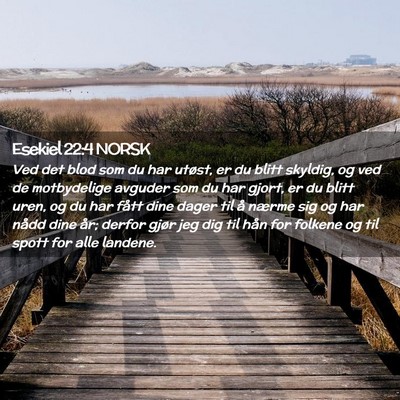 Picture 02 - Esekiel 22:4 NORSK - Ved det blod som du har utøst, er du blitt - Bible Verse Picture
