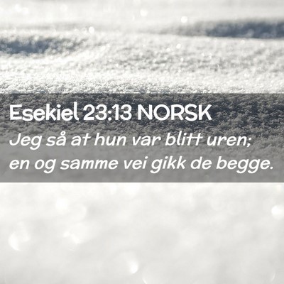 Picture 02 - Esekiel 23:13 NORSK - Jeg så at hun var blitt uren; en og samme vei - Bible Verse Picture