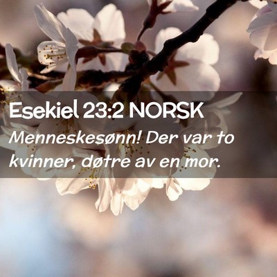 Picture 02 - Esekiel 23:2 NORSK - Menneskesønn! Der var to kvinner, døtre av en - Bible Verse Picture