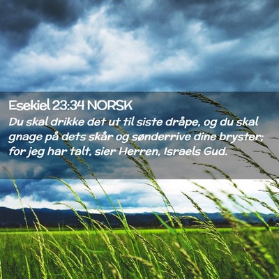 Picture 02 - Esekiel 23:34 NORSK - Du skal drikke det ut til siste dråpe, og du - Bible Verse Picture