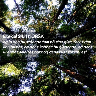 Picture 02 - Esekiel 24:11 NORSK - og la den bli stående tom på sine glør, forat - Bible Verse Picture