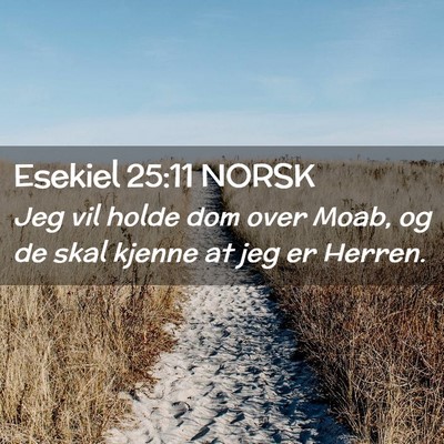 Picture 02 - Esekiel 25:11 NORSK - Jeg vil holde dom over Moab, og de skal kjenne at - Bible Verse Picture
