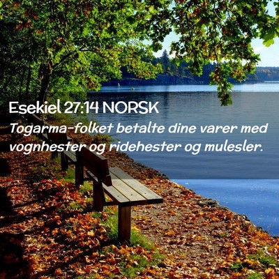Picture 02 - Esekiel 27:14 NORSK - Togarma-folket betalte dine varer med vognhester - Bible Verse Picture