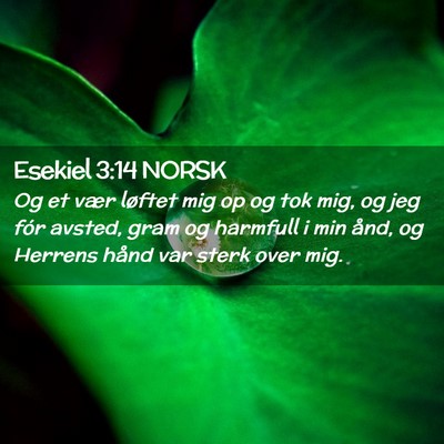 Picture 02 - Esekiel 3:14 NORSK - Og et vær løftet mig op og tok mig, og jeg fór - Bible Verse Picture