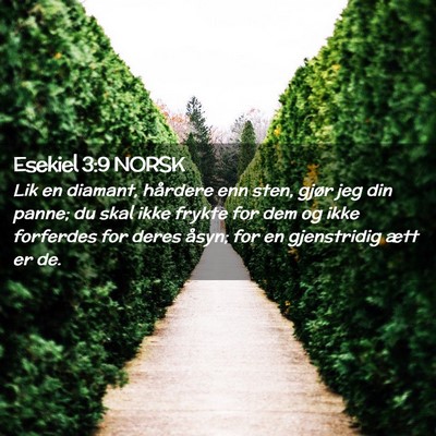 Picture 02 - Esekiel 3:9 NORSK - Lik en diamant, hårdere enn sten, gjør jeg din - Bible Verse Picture